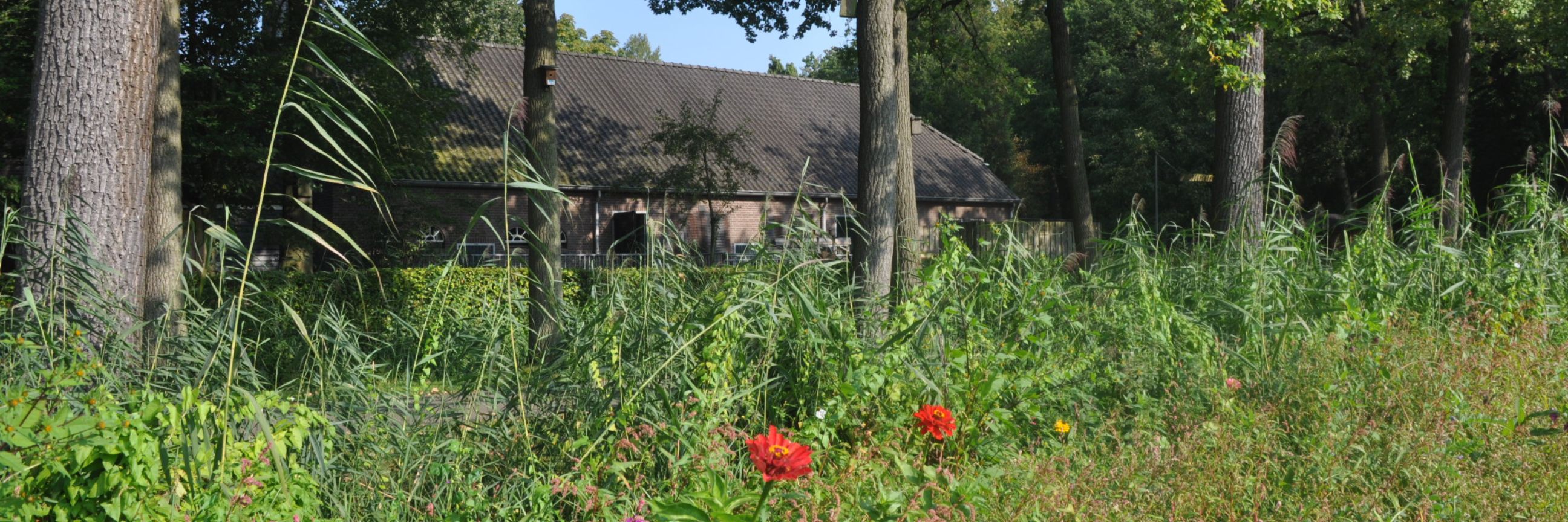 Pagina Brede Banner Website (6)