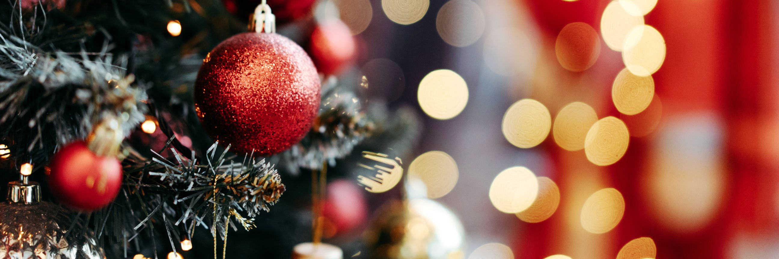 Pagina Brede Banner Website (1)